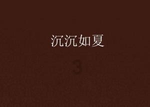 格斗战机