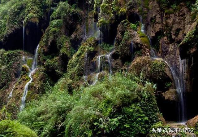 寻龙丨龙形拉花、财神咖啡……杭州这里的年味很吸引年轻人