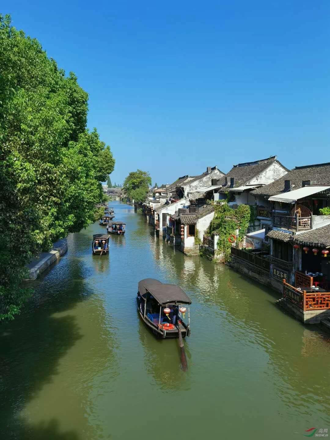逃离绿色山谷